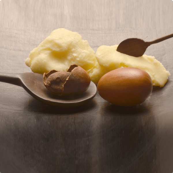 Fragrance Body Butter