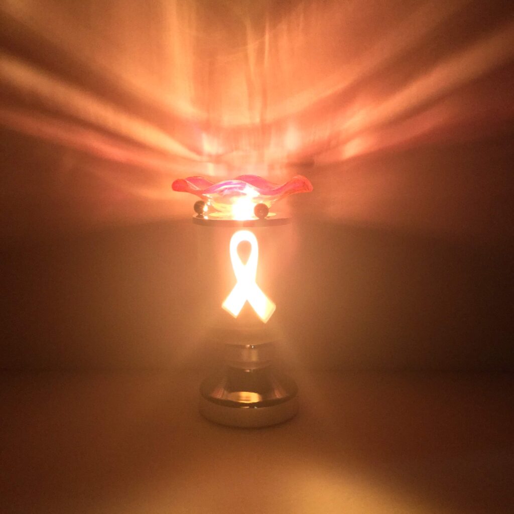 Electric Touch Burners - BCA