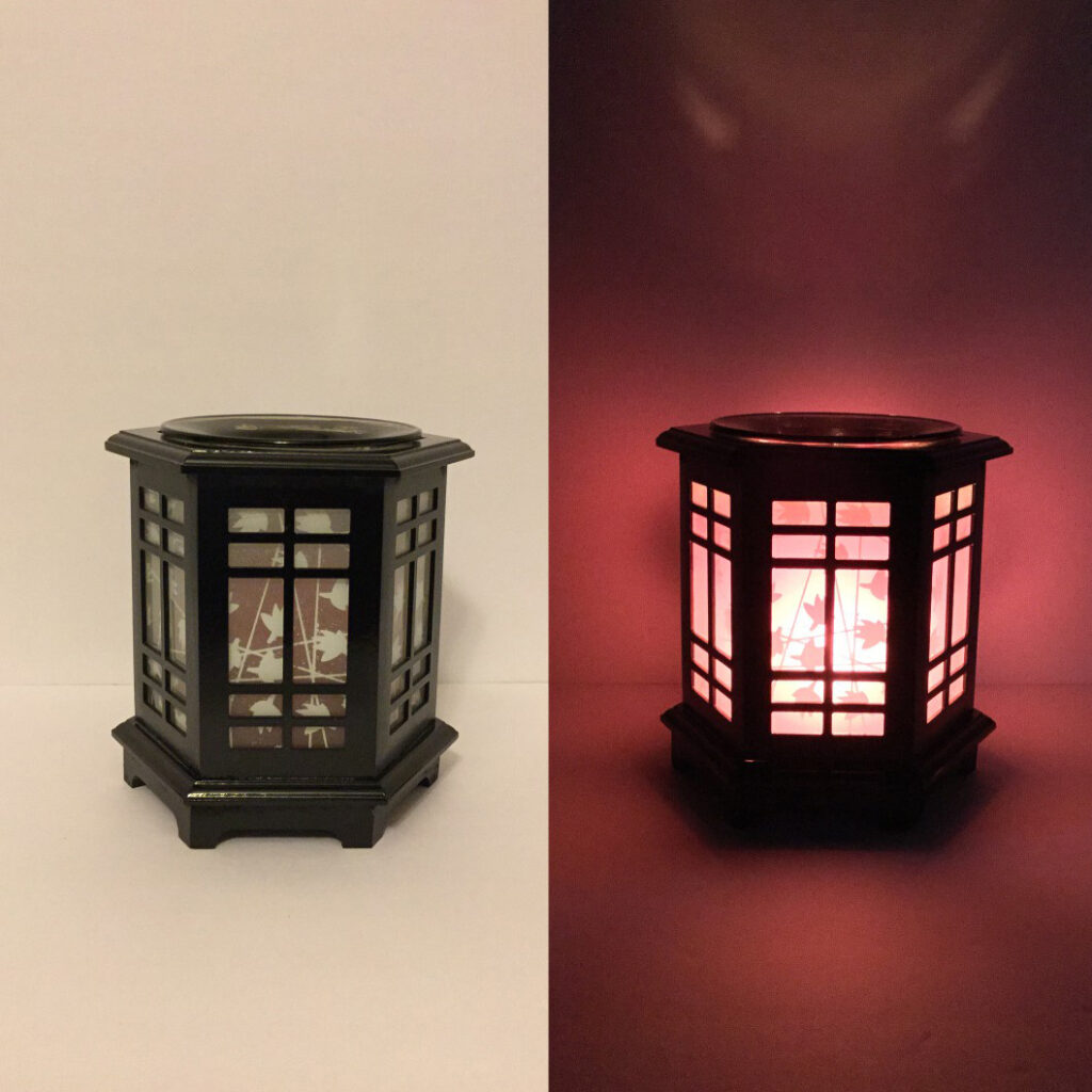 Electric Wood Burners - Hexagon Pane