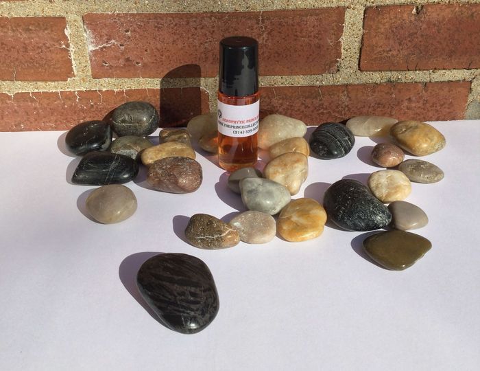 Xerophytic Prince Body Oil